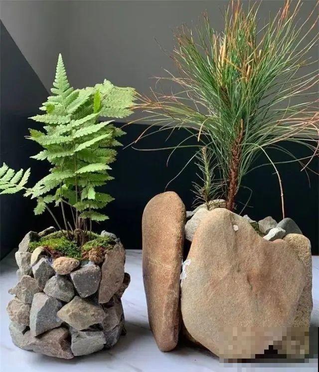 高价花盆扔一地，捡到手软，回家种花美炸了！