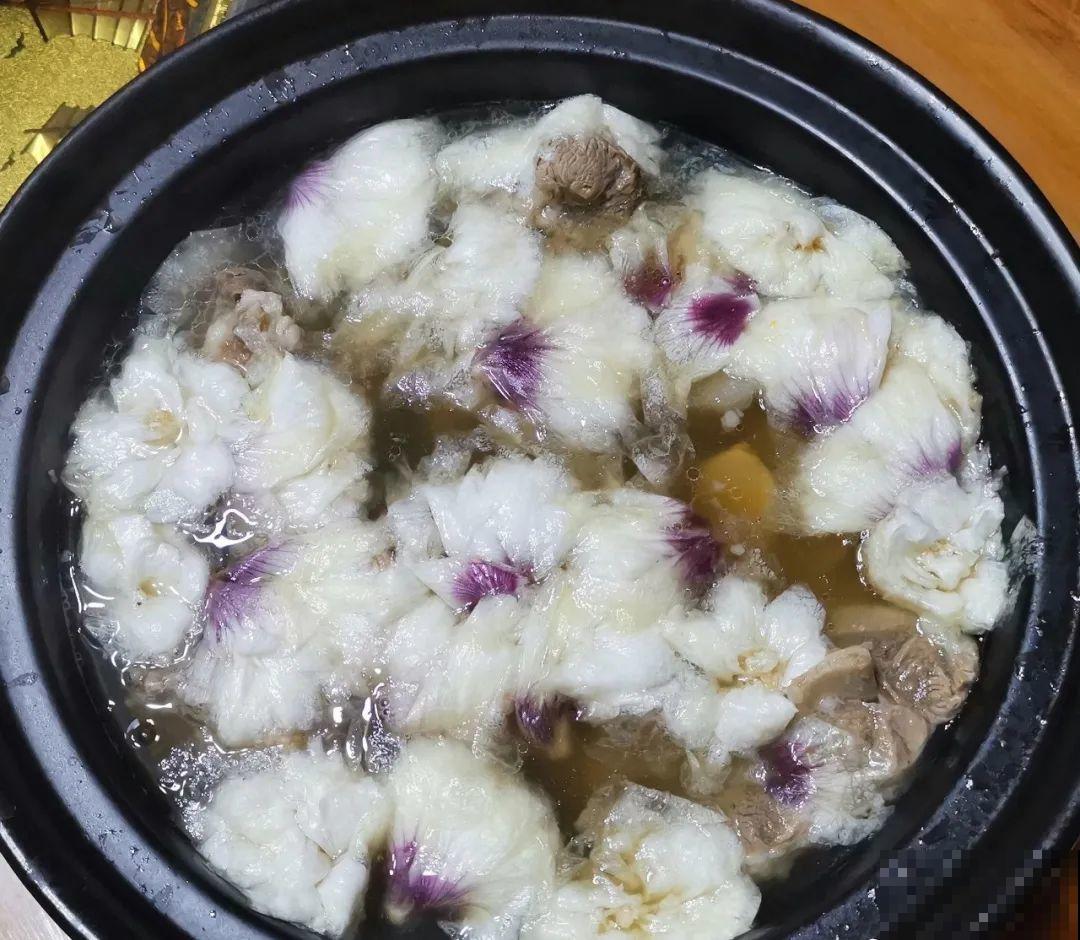 6种小众花,开花特别美,少有人养过! 6种小众花,开花特别美,少有人养过!