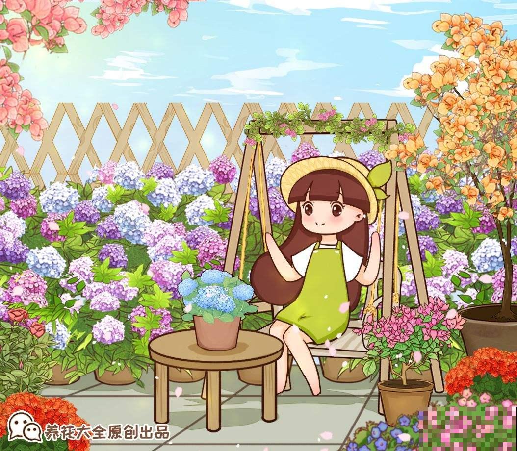 院子门口种金鸡菊，开出金黄色花海，花期还特长