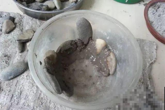 高价花盆扔一地，捡到手软，回家种花美炸了！