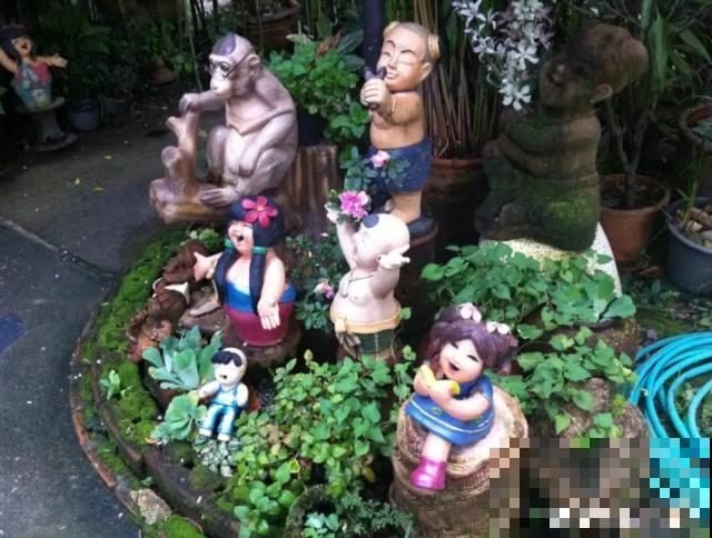 花盆里摆了它,更有趣、更新奇,邻居来了想搬走! 花盆里摆了它,更有趣、更新奇,邻居来了想搬走!