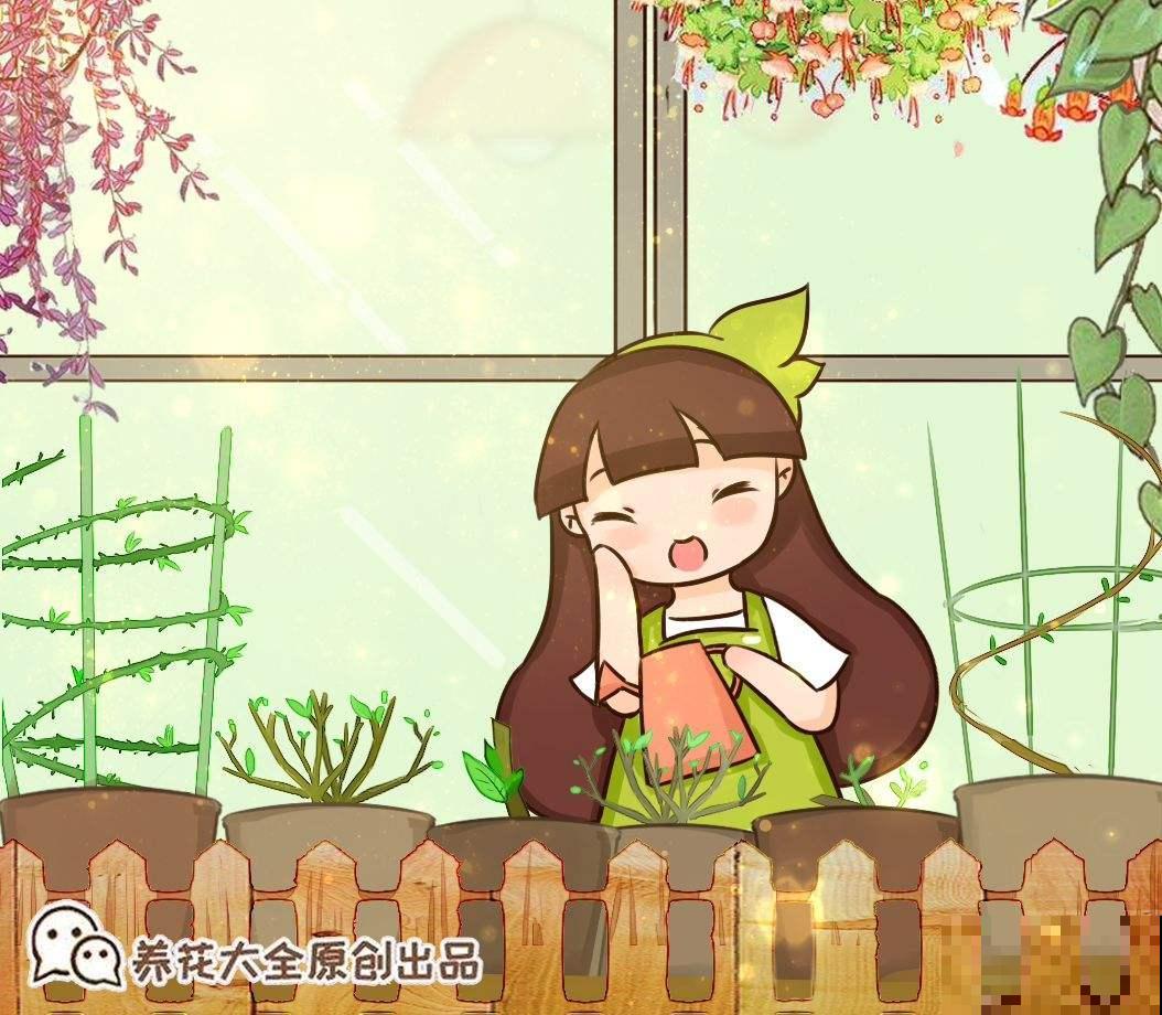夏天养花真头疼，浇水是个大问题，赶紧学会4个小方法