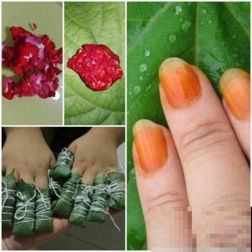 凤仙花可以涂指甲，可你知道怎么做吗？明矾万万不可少！