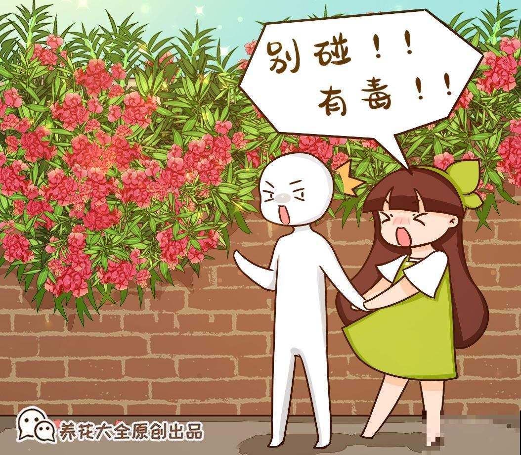 家里尽量别养4种花，汁液有毒，误食还引来大麻烦