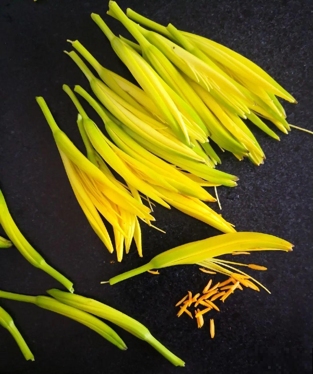 有些花有毒,家里有孩子要注意,不能乱碰 有些花有毒,家里有孩子要注意,不能乱碰