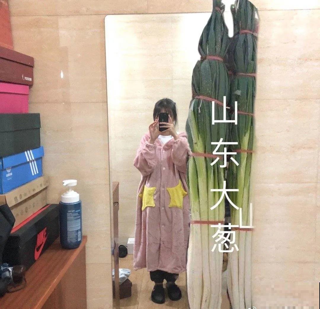 西红柿养成树,1年能结6000斤果,巨无霸第一次见! 西红柿养成树,1年能结6000斤果,巨无霸第一次见!