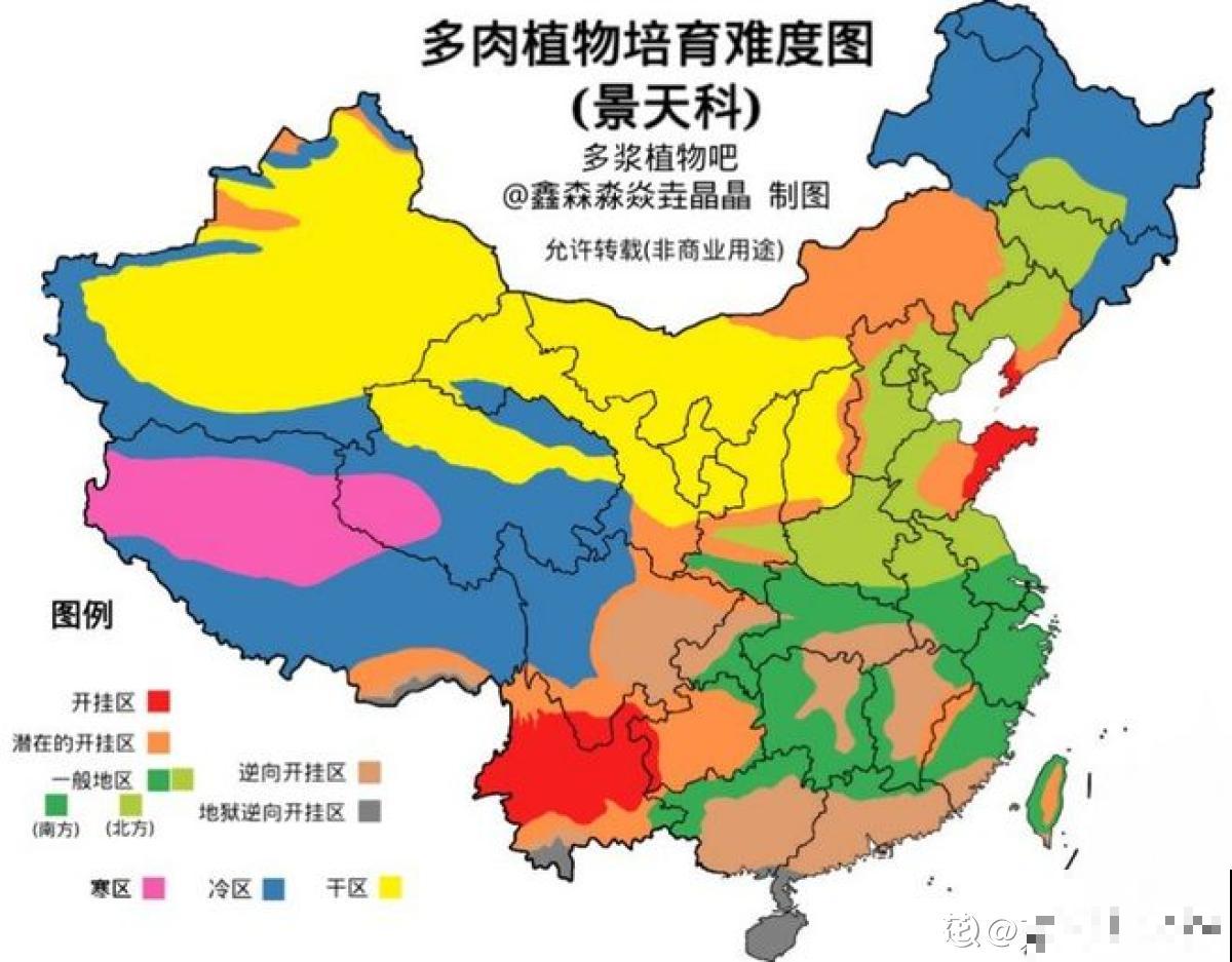 这个时节多肉长气根了,一定要注意了,不然等着收空盆吧! 这个时节多肉长气根了,一定要注意了,不然等着收空盆吧!