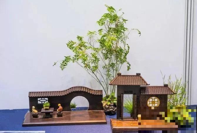 花盆里摆了个小东西，花长得更好看，朋友看了都想搬走！
