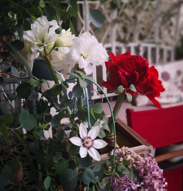 修剪最佳时机到了，有这花赶紧剪，晚了再也不开花！