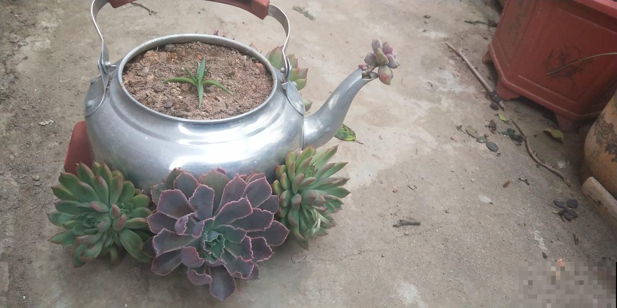 养花的老物件，拿回家养花正好，养花必备