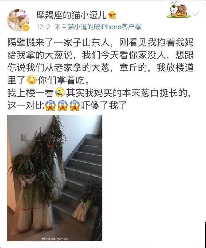 西红柿养成树,1年能结6000斤果,巨无霸第一次见! 西红柿养成树,1年能结6000斤果,巨无霸第一次见!