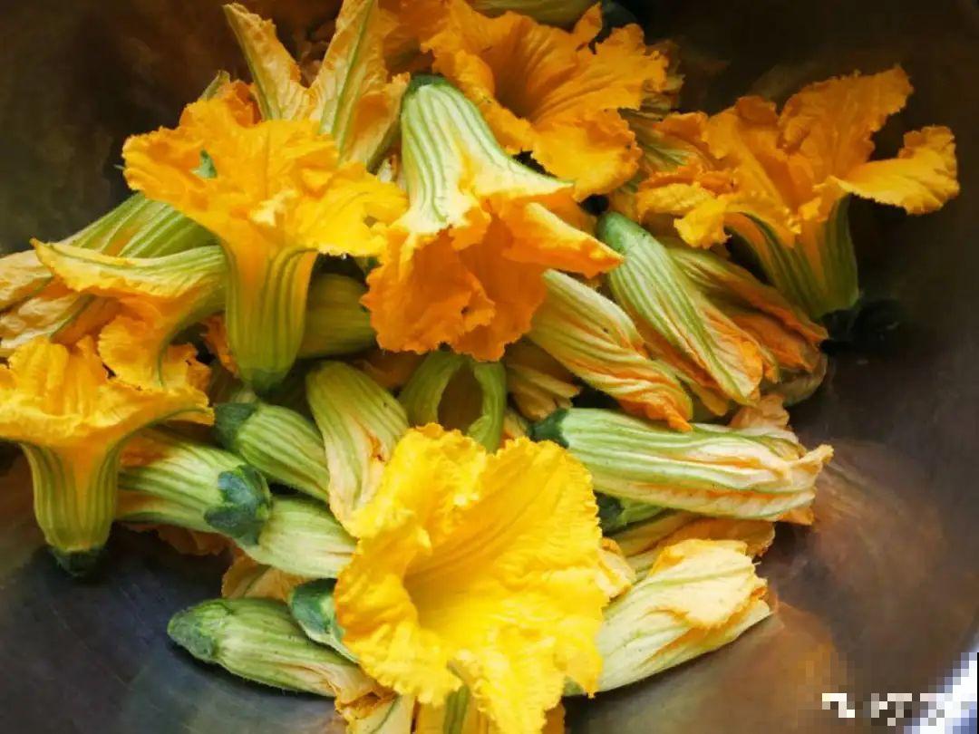 夏天这8种花，可以当菜吃，再不摘就没了！