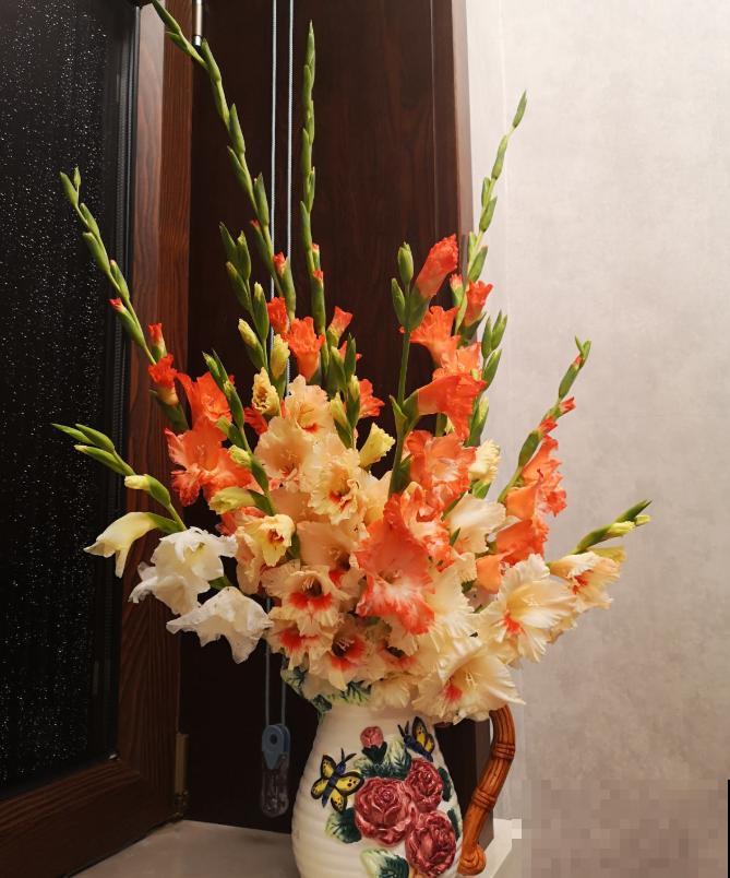 大门口种一丛它，开花一串几十朵，邻居天天跑来看！