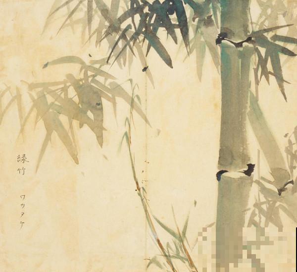 诗经里的植物,美了3000多年,有图有真相! 诗经里的植物,美了3000多年,有图有真相!