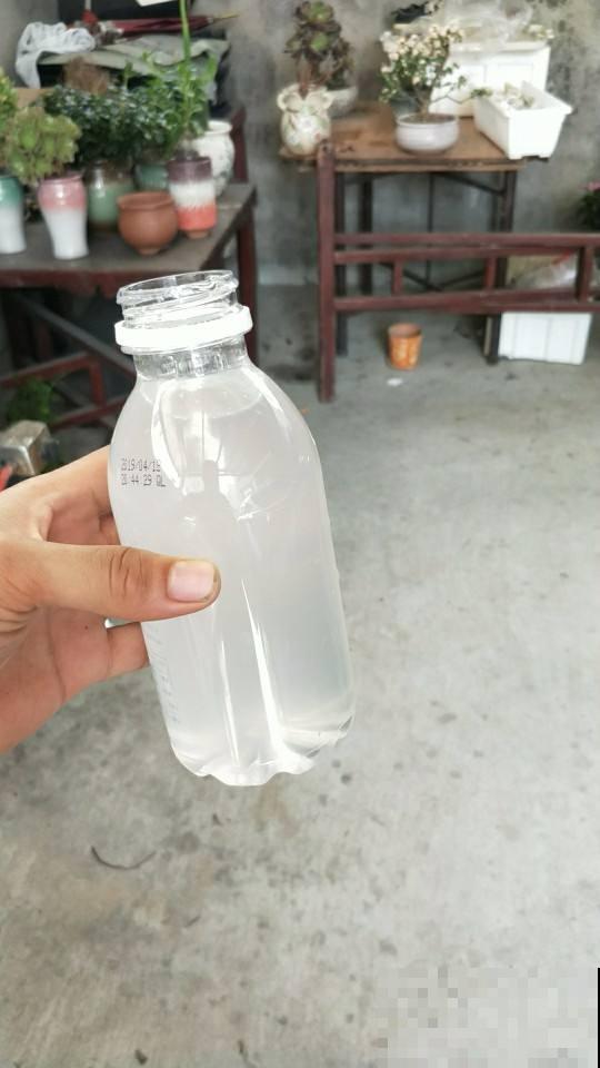 水里兑点柠檬汁，直接灌土里，花叶长得都旺盛