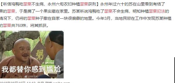 7种花不要随便挖，轻则罚款，重则坐牢！