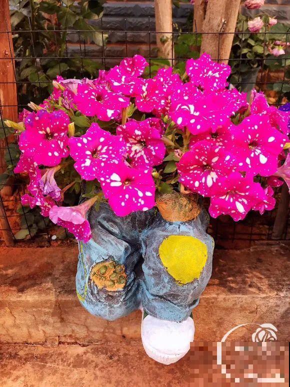 女儿辞职，回家养花，老爸说：15亩地，你负责养花，我负责蔬果！