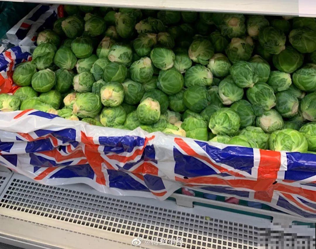 西红柿养成树,1年能结6000斤果,巨无霸第一次见! 西红柿养成树,1年能结6000斤果,巨无霸第一次见!