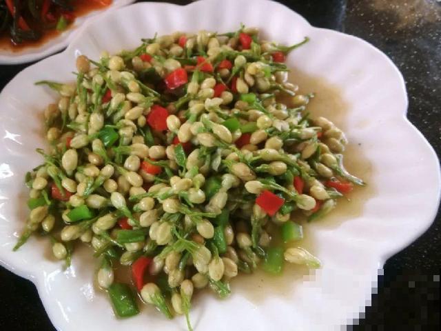 夏天这8种花，可以当菜吃，再不摘就没了！
