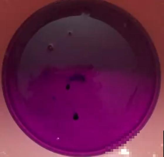 可以浇花的药,过期也要留着,保花不生虫、不生病! 可以浇花的药,过期也要留着,保花不生虫、不生病!