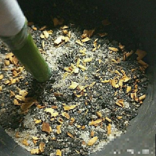 路边这些草，居然都是杀虫剂，赶紧薅一把养花用！