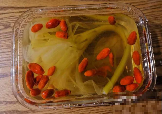 搬个椅子守了一晚上,就为了看昙花,我真是太拼了! 搬个椅子守了一晚上,就为了看昙花,我真是太拼了!