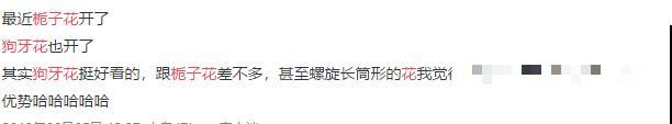 买花要瞪大眼睛，长得太像容易上当，大家要注意
