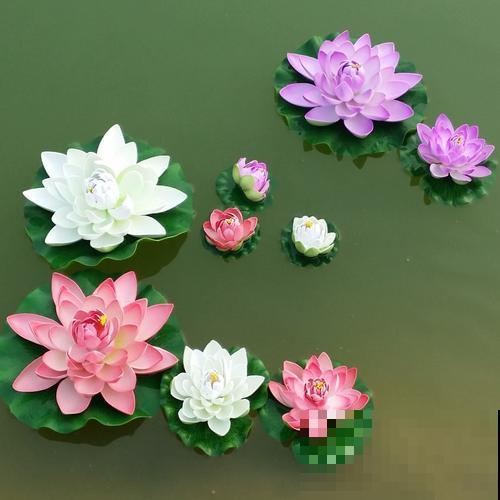 关于荷花,4个令人叹绝的冷知识,看完真长见识了! 关于荷花,4个令人叹绝的冷知识,看完真长见识了!