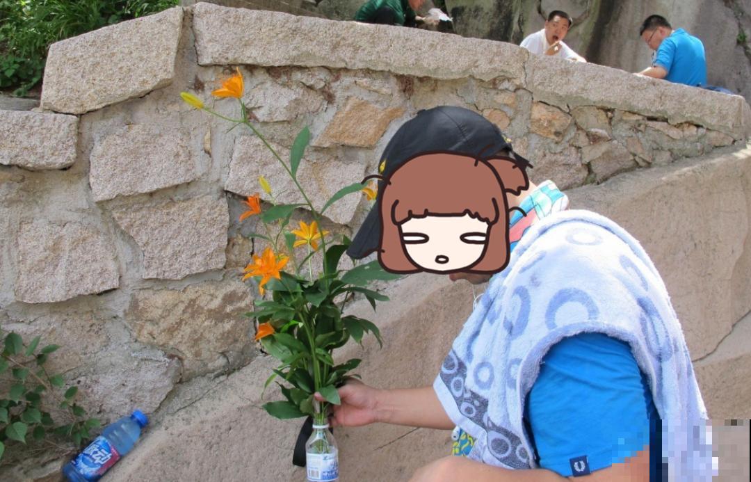 7种花不要随便挖，轻则罚款，重则坐牢！