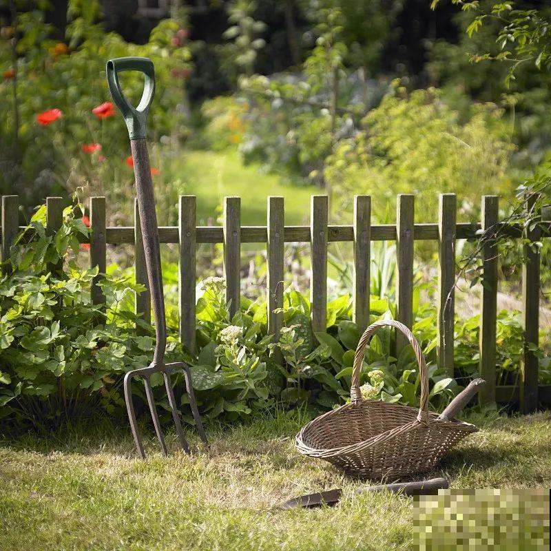 菜园就是花园，这才是养花、种菜的最高境界！