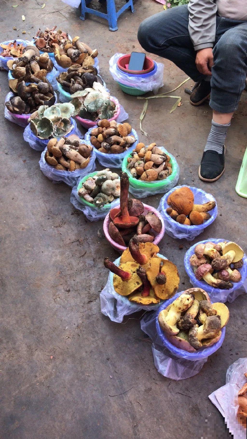 10种花有剧毒,遇到千万别乱碰,小心中毒! 10种花有剧毒,遇到千万别乱碰,小心中毒!