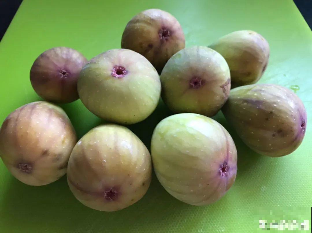 不起眼的6种花，泡茶喝，原来对身体这么好！