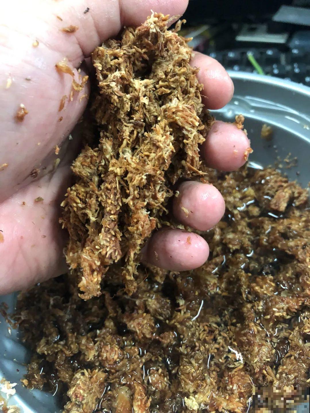 路边掐几根大粗枝,5天就生根,结果沉甸甸! 路边掐几根大粗枝,5天就生根,结果沉甸甸!