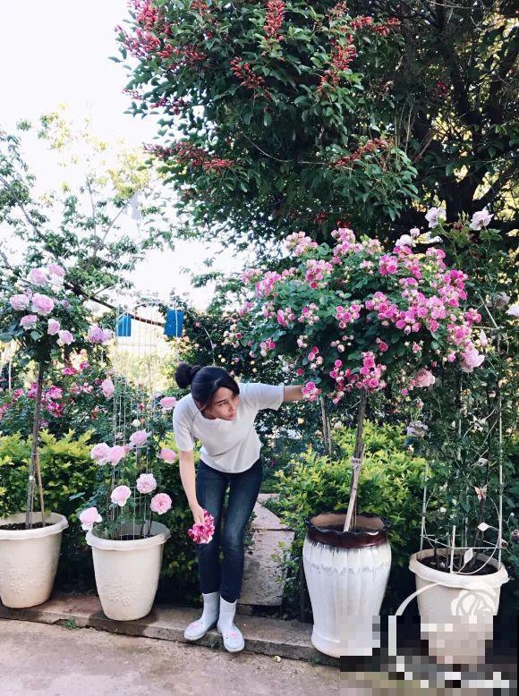 女儿辞职，回家养花，老爸说：15亩地，你负责养花，我负责蔬果！