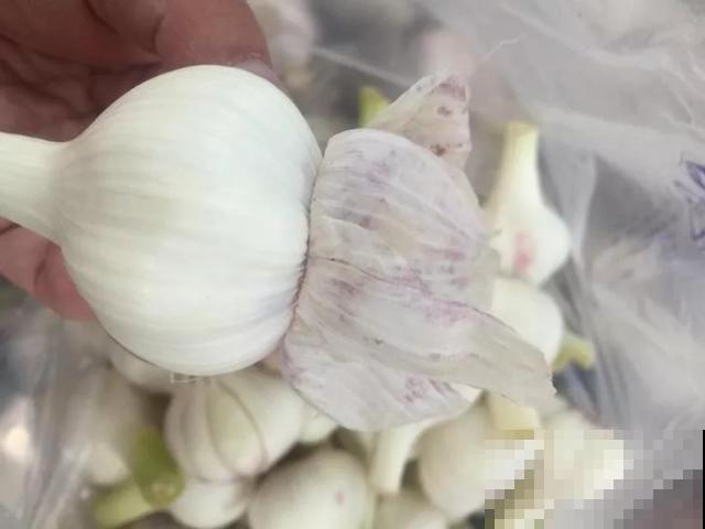 邻居酱黄瓜的秘方，好吃停不下来，一顿能吃三碗米饭