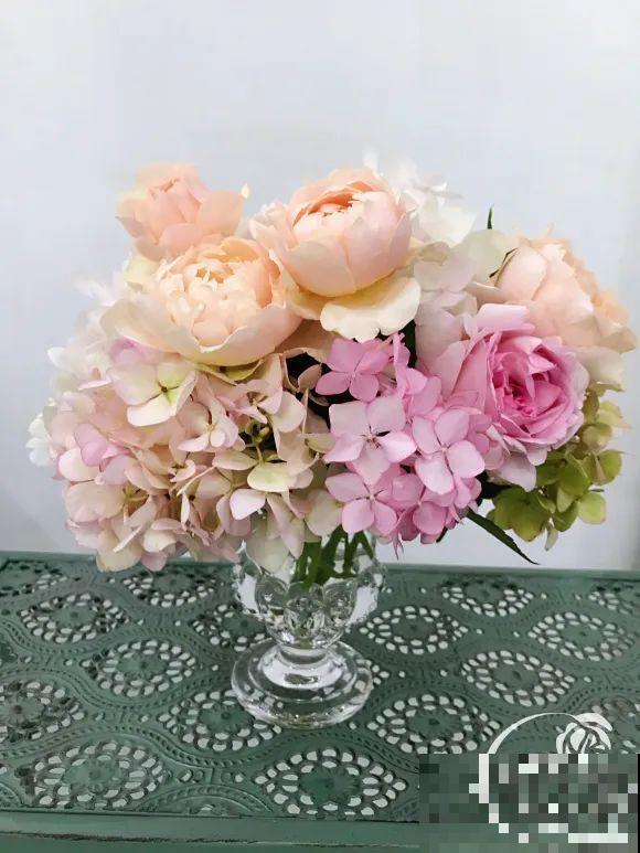 女儿辞职，回家养花，老爸说：15亩地，你负责养花，我负责蔬果！