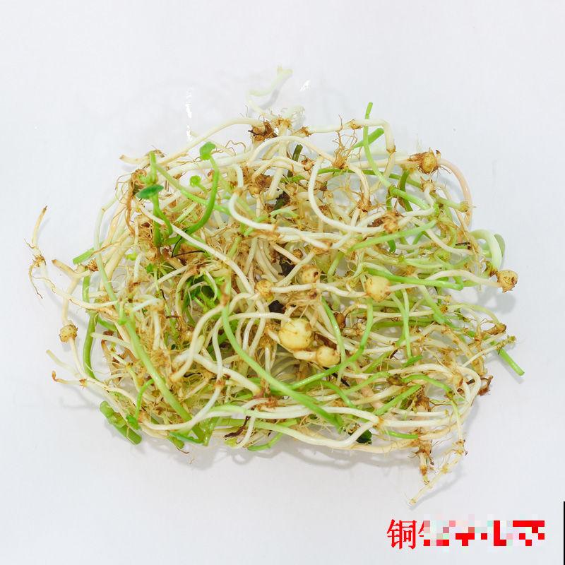 养这花，千万别买种子，全是假的！
