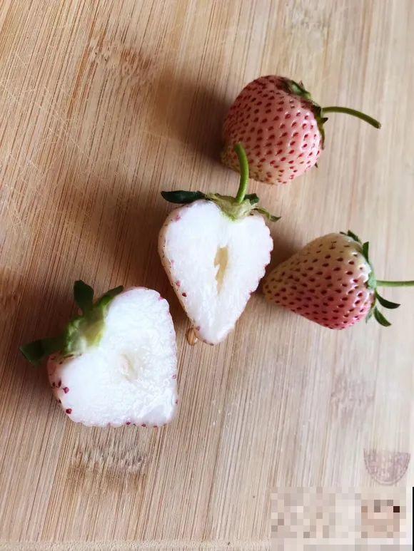 女儿辞职，回家养花，老爸说：15亩地，你负责养花，我负责蔬果！