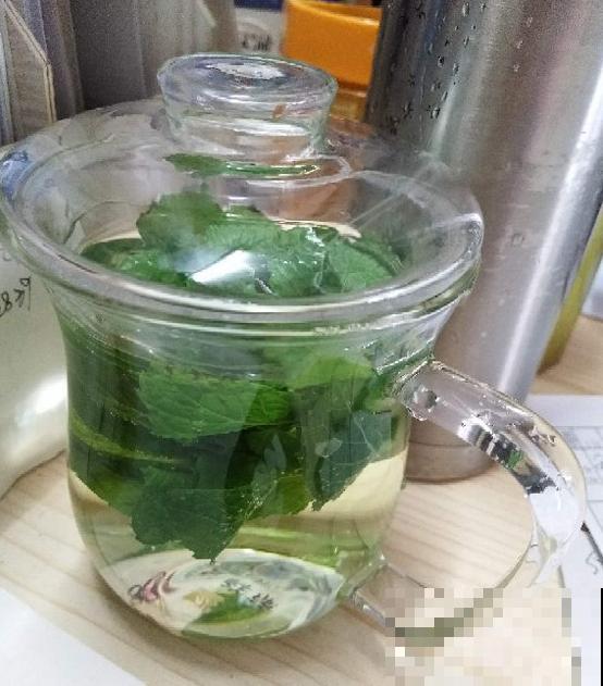 6种香草植物,驱蚊效果特别好,还能泡茶喝! 6种香草植物,驱蚊效果特别好,还能泡茶喝!