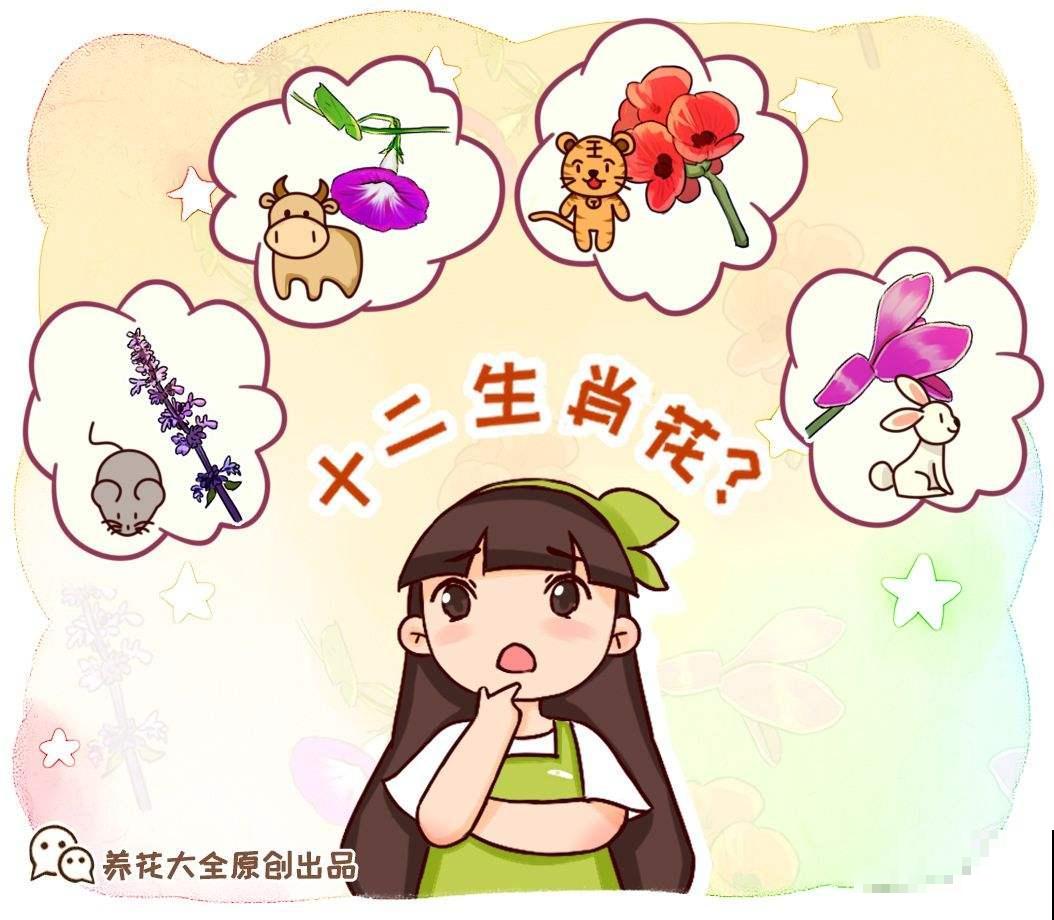 十二生肖花，每一种都代表一个属相，来看看你是哪一种