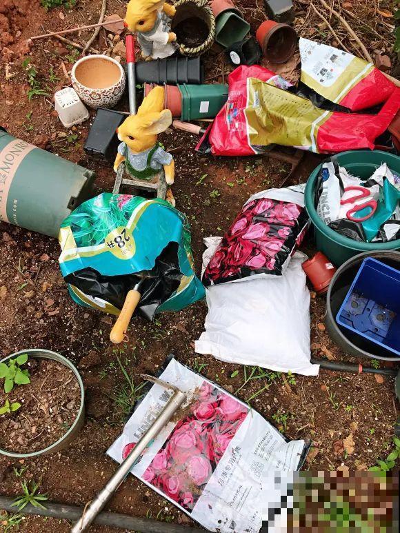 女儿辞职，回家养花，老爸说：15亩地，你负责养花，我负责蔬果！