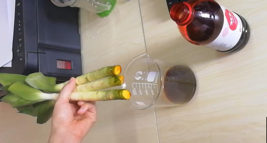 可以浇花的药,过期也要留着,保花不生虫、不生病! 可以浇花的药,过期也要留着,保花不生虫、不生病!