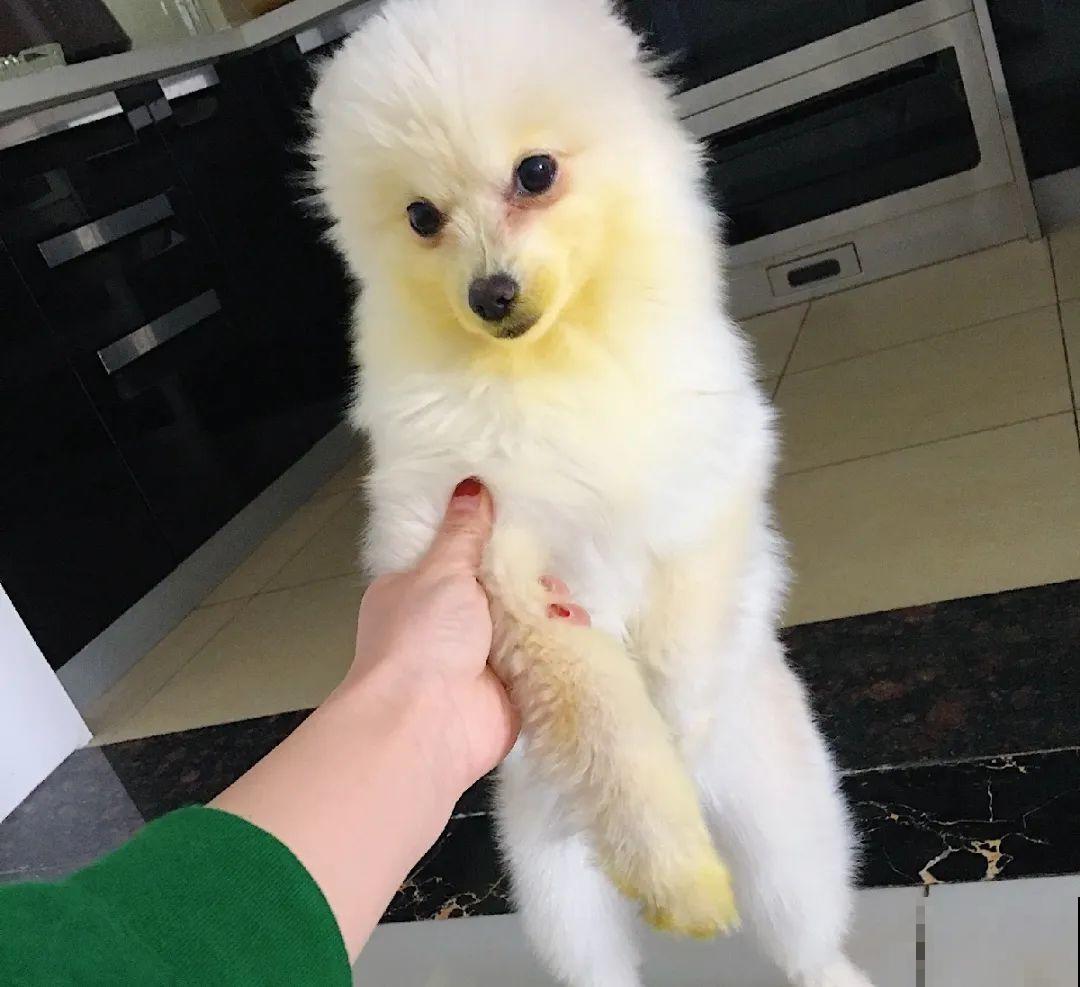 有些花有毒,家里有孩子要注意,不能乱碰 有些花有毒,家里有孩子要注意,不能乱碰