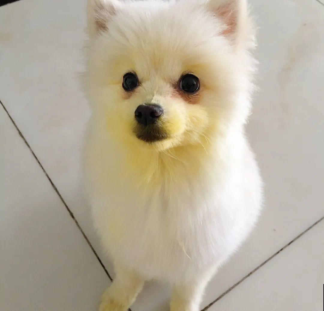 有些花有毒,家里有孩子要注意,不能乱碰 有些花有毒,家里有孩子要注意,不能乱碰