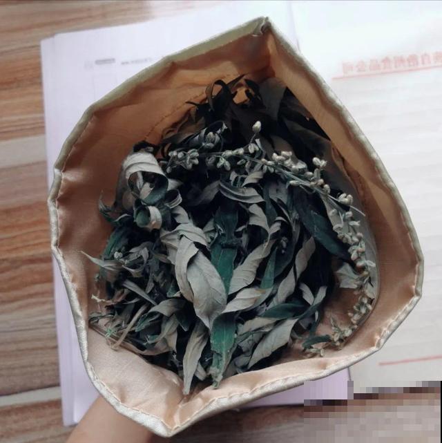 路边这些草，居然都是杀虫剂，赶紧薅一把养花用！