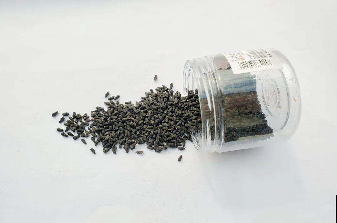 15种花繁殖力强，种子扔土里，呼呼冒出一大片