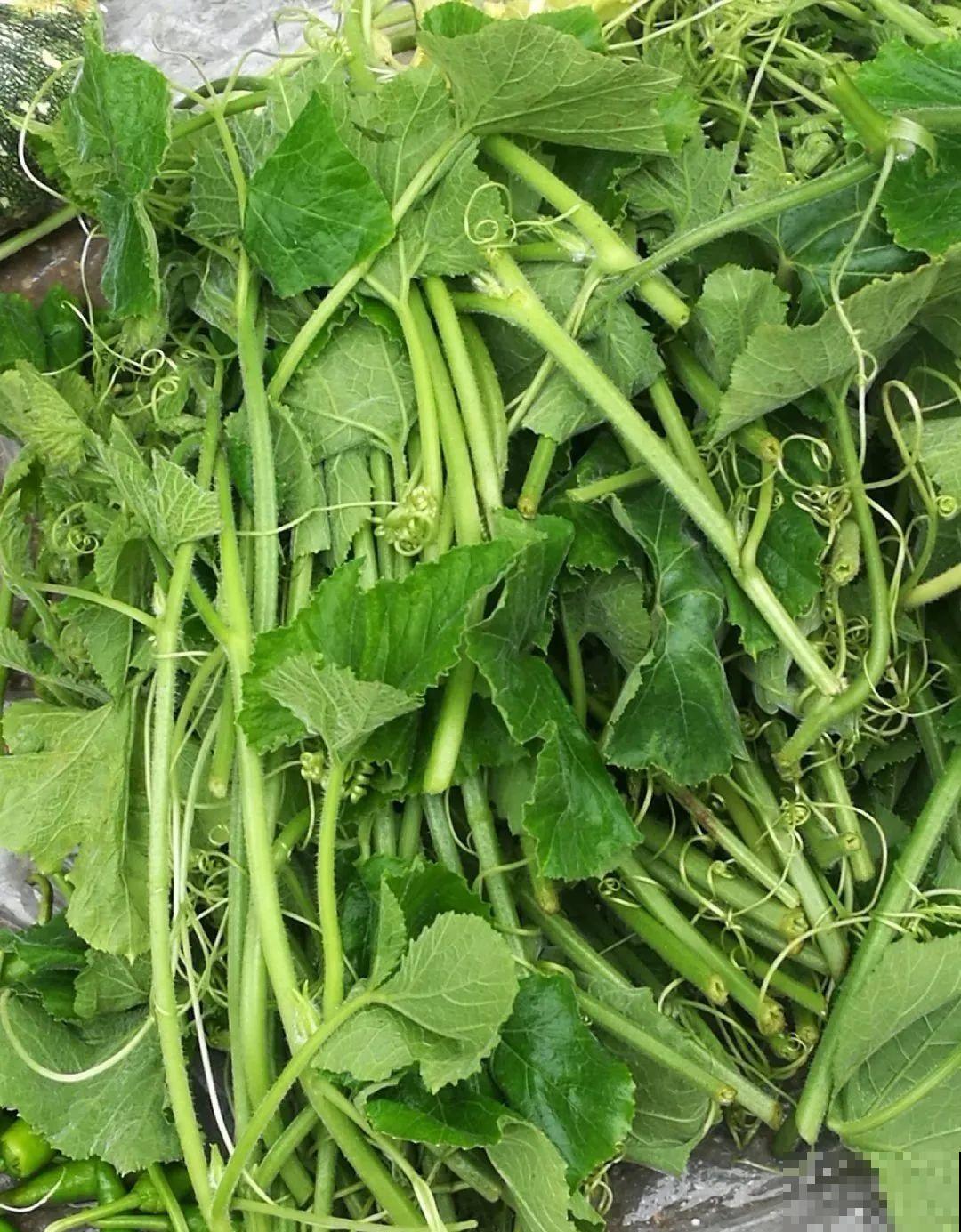 7月野菜金不换，2块钱一捆，凉拌吃格外香！