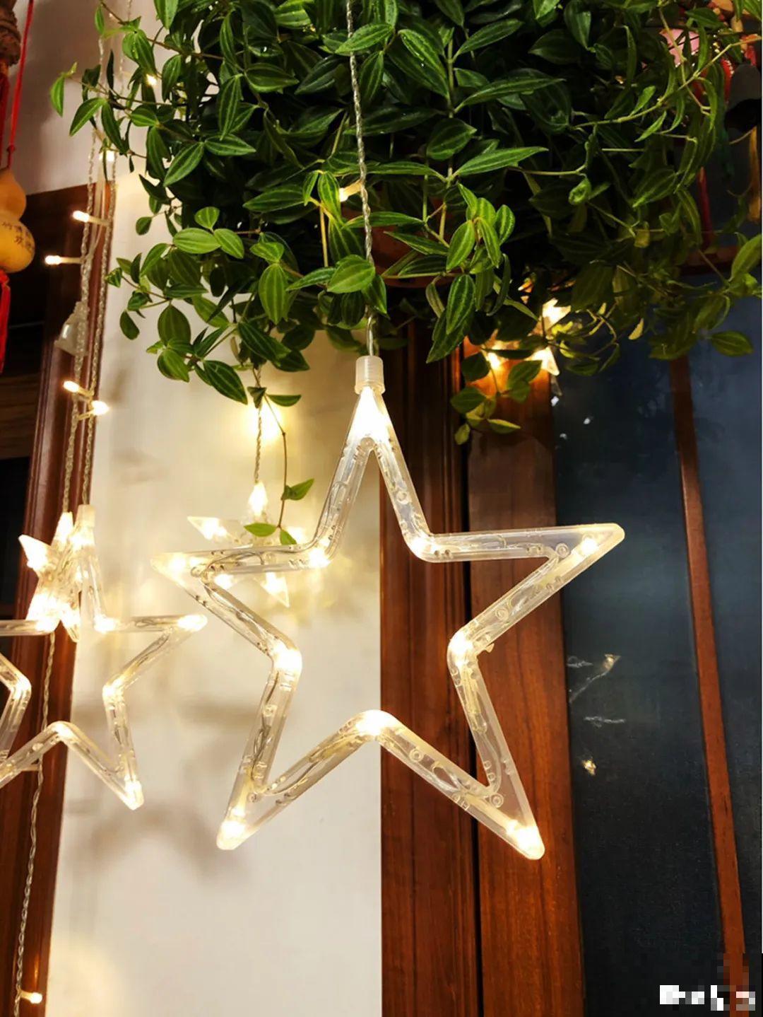 12种花，堪称“耐阴王”，比绿萝好看一万倍！