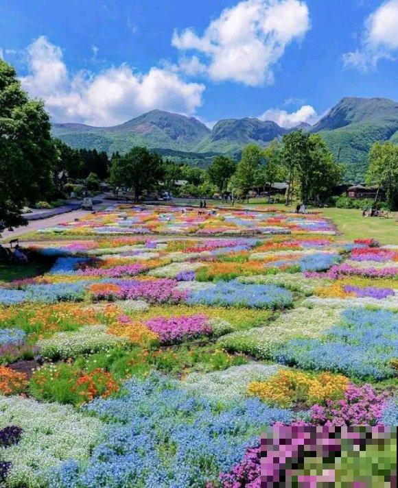 中国这个地方,漫山遍野都是花,去了都不想回! 中国这个地方,漫山遍野都是花,去了都不想回!