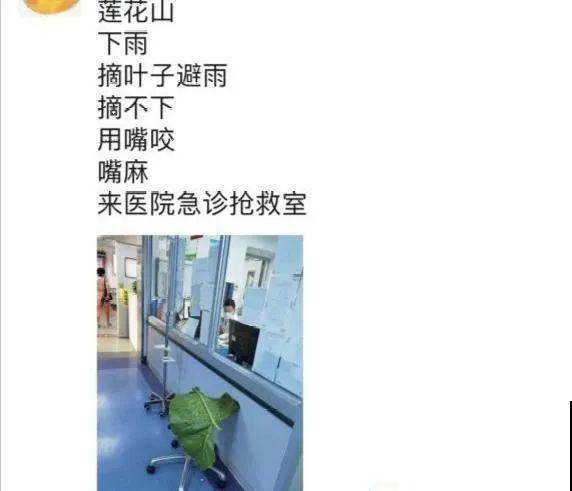 有些花有毒,家里有孩子要注意,不能乱碰 有些花有毒,家里有孩子要注意,不能乱碰